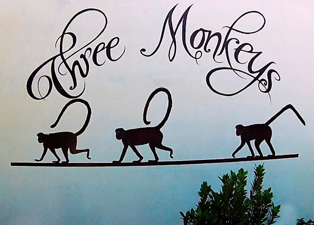 Hotel Three Monkeys Montezuma
